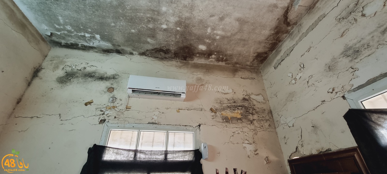 WhatsApp Image 2021-04-21 at 5.17.18 PM (3).jpg